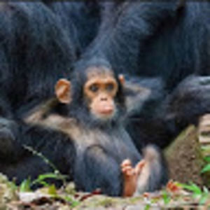 Meet your Posher, Patty